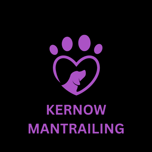 Kernow Mantrailing