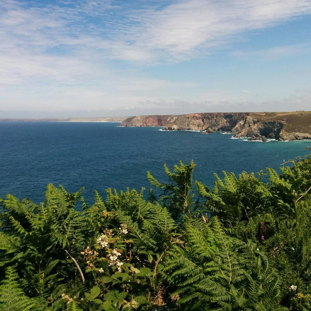 Explore the breathtaking coastal view of Cornwall, England featuring lush greenery and stunning ocean scenery.